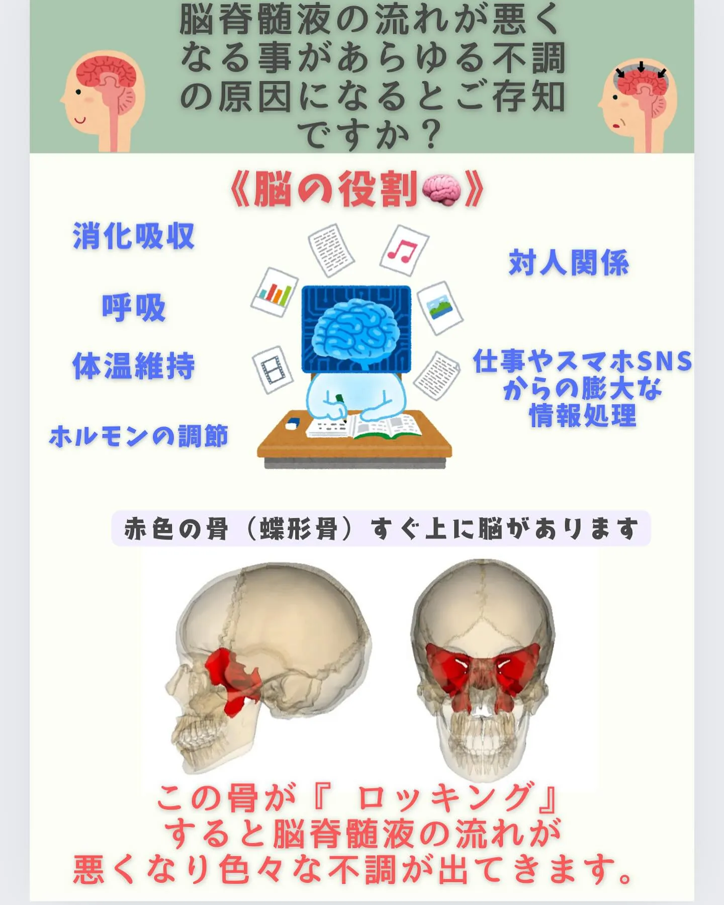 『脳脊髄液』の流れが悪くなる事が不調の原因…?